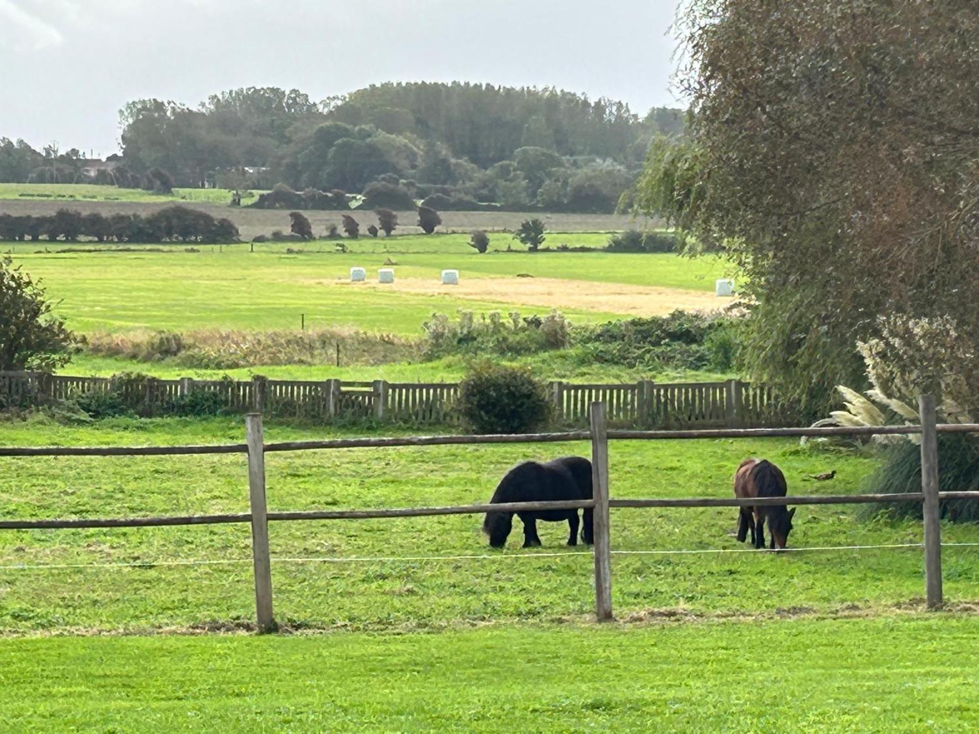 Le Wim'Heureux Campagne Villa Bazinghen Bagian luar foto